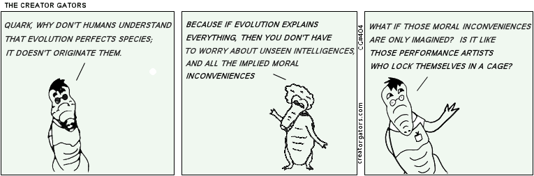 Evolution perfects species. It does not originate them.